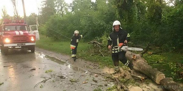 На Закарпатті обрушився сильний ураган: знеструмлено 478 населених пунктів. На Закарпатті пройшов сильний шквальний вітер, знеструмлено 478 населених пунктів у 6 областях України.