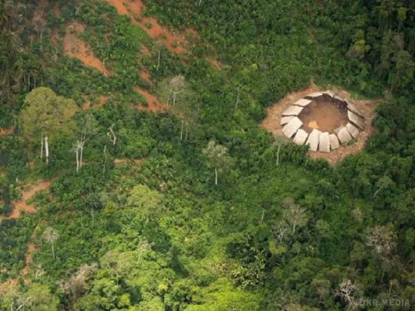 Жахлива трагедія в Бразилії! Те, що браконьєри зробили з закритим амазонських плем'ям, не піддається поясненню. Жадібність, ненависть чи випадковість?