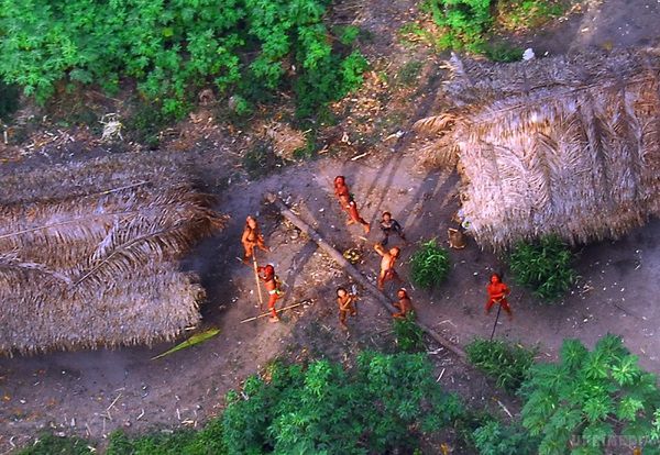 Жахлива трагедія в Бразилії! Те, що браконьєри зробили з закритим амазонських плем'ям, не піддається поясненню. Жадібність, ненависть чи випадковість?