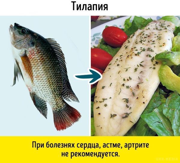 9 видів риби, які не варто їсти. Риба — це надзвичайно корисний продукт для нашого організму.