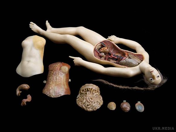 Воскові Венери — моторошна краса кінця XVIII століття. Можу тільки уявити, для яких цілей слугували ці ляльки..