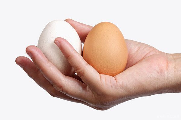 10 дивовижних фактів про яєчках, які ти не знала і соромилася запитати 18+. Яєчка збільшуються в розмірах. Вдвічі. Відбувається це під час статевого акту, а після нього вони знову повертаються у свій звичний стан. Carpe diem, як говориться.