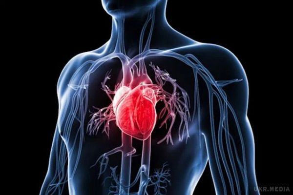 Хвороби серця можна запобігти - кардіологи. Хворобам серця можна запобігти.