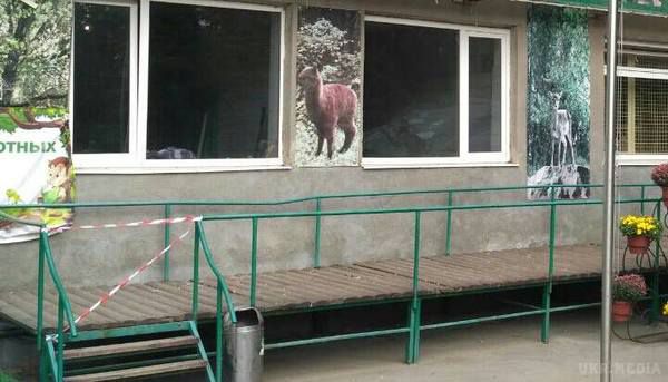 На Харківщині мавпи влаштували масовий напад на співробітника зоопарку. Чоловік позбувся декількох пальців і вуха.