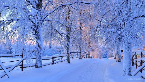 Синоптики спрогнозували коли випаде перший сніг в Україні. Синоптики дали прогноз.
