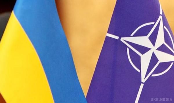 Дев'ять українських батальйонів вже сумісні з військами країн НАТО. В Україні перебувають інструктора та військовослужбовці з США, Канади, Великобританії, Литви, Латвії, Естонії, Польщі.