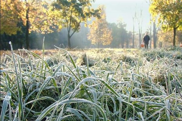 В Україні синоптики обіцяють заморозки на наступному тижні. Заморозки на ґрунті в Україні триватимуть ще щонайменше до 3 жовтня, опадів 2 жовтня не очікується.