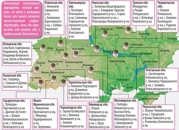 Сезон грибів 2017: найкращі грибні місця України. Де і які гриби можна зібрати восени в різних регіонах України і як туди дістатися.
