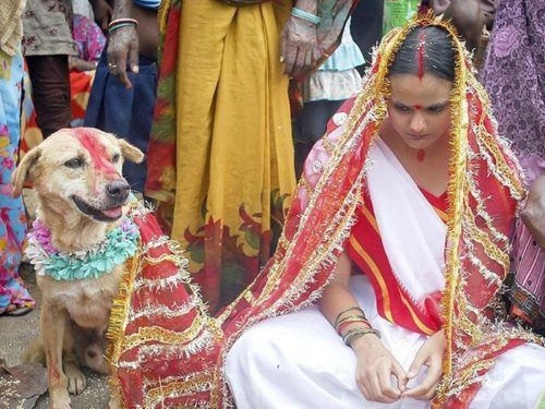 Дивні весільні традиції: одружитися з твариною і не відвідувати туалет три дні. Дивні весільні традиції з усього світу (фото).