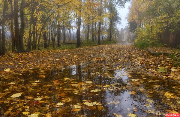 4 жовтня Українців попередили про різку зміну погоди. Холодна пора в Україні тепер відзначиться ще й опадами.