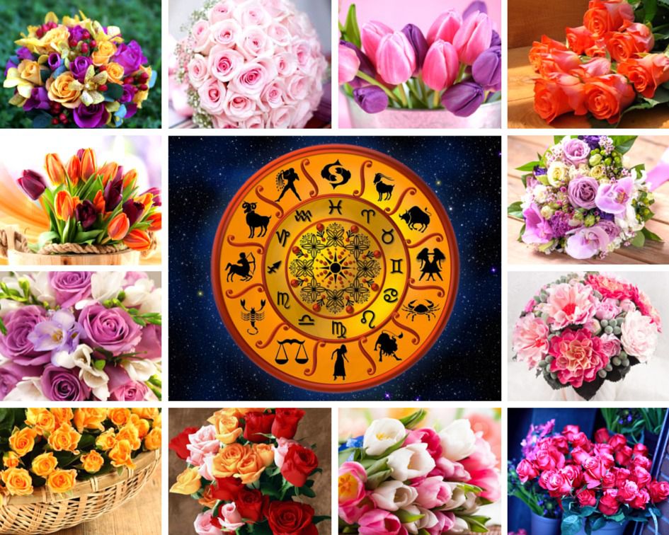 Квіти для знаків Зодіаку: кому які підходять. Стародавні астрологи стверджували, що на кожну рослину впливає певна планета, тому кожна квітка несе в собі певні енергетичні характеристики, які відповідають особливостям Знаків Зодіаку.