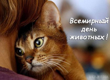  Знаменні події 4 жовтня: Всесвітній День тварин. Щороку 4 жовтня відзначається Всесвітній день захисту тварин покликаний звернути увагу людства на проблеми інших мешканців.