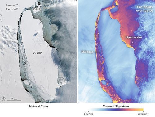 Від Антарктиди відколовся айсберг, який відкрив унікальне життя. Від ділянки С антарктичного льодовика Ларсена відколовся величезний айсберг, найбільший їх зафіксованих