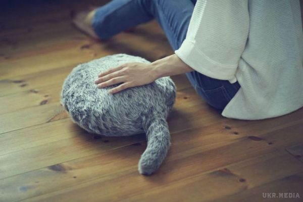 Японці створили пухнасту подушку, що може замінити кота. Особливо винахід стане в нагоді тим, хто має алергію на котячу шерсть.
