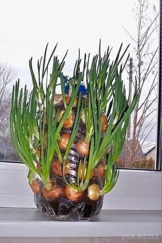 15 приголомшливих лайфхаків на всі випадки життя. Лайфхак досить часто дозволяє подивитися на проблему з абсолютно несподіваного боку, що призводить до її суттєвого спрощення.