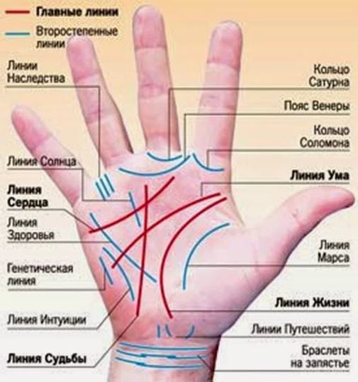 15 приголомшливих лайфхаків на всі випадки життя. Лайфхак досить часто дозволяє подивитися на проблему з абсолютно несподіваного боку, що призводить до її суттєвого спрощення.