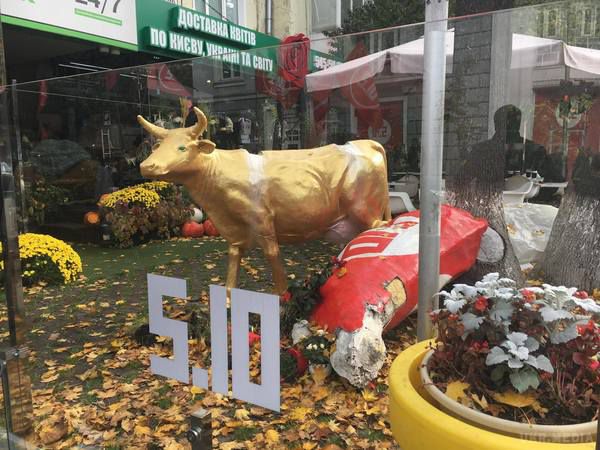 Біля офісу партії "5.10" з'явилася нова золота корова. Біля офісу партії 5.10, поруч з розбитою активістами скульптурою корови встановили майже таку ж - золоту.