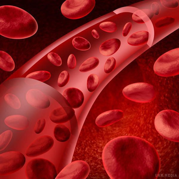 Все, що тобі необхідно знати про показники крові. Збережи обов'язково!. Аналіз крові — це найважливіший і достовірний аналіз для визначення будь-яких захворювань нашого організму.
