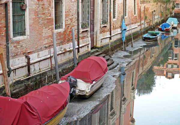 Помилуйся з жахом, як виглядають вулиці Венеції без води. Безпритульні водорості на вулицях і викинуті на берег засохлі водолази... Венеція тепер спостерігає і не такі видовища!
