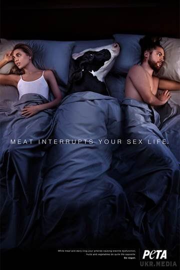 Захисники тварин спантеличили Інтернет своєї дивної рекламою. Увага! Вживання м'яса викликає велику рогату худобу у тебе в ліжку. Якщо ми правильно зрозуміли зміст реклами.
