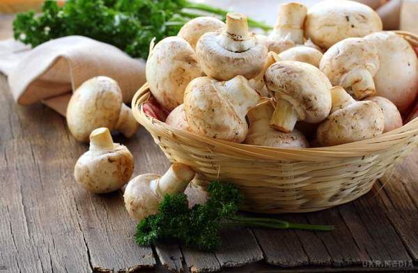 Названі несподівані корисні властивості грибів. Вчені підказують: гриби можуть стати незамінним інгредієнтом в раціоні харчування.
