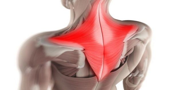 М'язові затиски шиї і спини. Зняття болю зміною пози. Найбільш частою причиною болю в шиї і спині є хронічно напружені м'язи, причому це хронічне напруження зазвичай буває наслідком зміщених хребців, що порушують нерви.