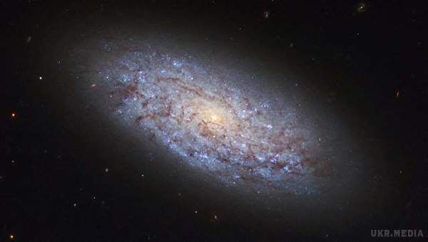 "Лице Бога": унікальний знімок загадкової галактики (фото). Мова йде про галактиці NGC 1316, вважається четвертим за яскравості радіоісточником на небі Землі.