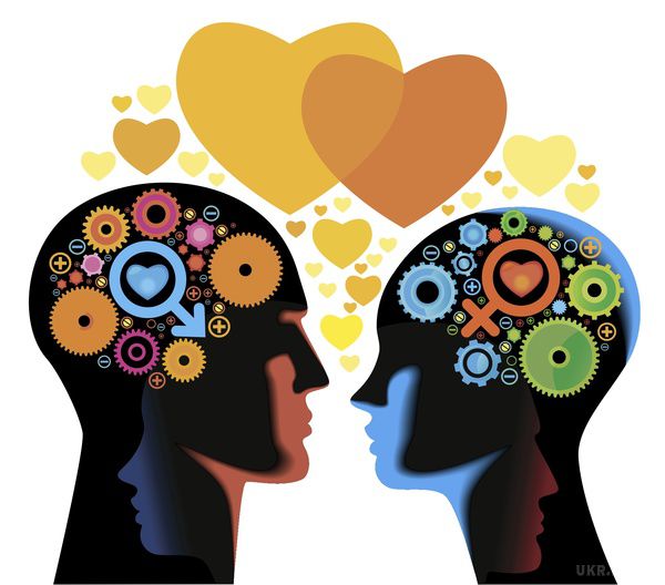 Як веде себе наш мозок, коли ми по-справжньому закохуємося?. Ви коли-небудь думали про те, що робить ваш мозок, коли ви знаходите свою любов?
