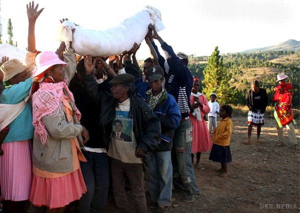 Чумові танці. Влада заборонила ритуал з небіжчиками (фото). Влада Мадагаскару закликала громадян відмовитися від культової фамадіхана – традиційних танців з родичами-небіжчиками.