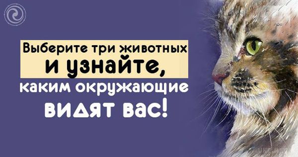 Виберіть 3 тварин і дізнайтеся, яким оточуючі бачать вас!. Візьміть ручку і папір і запишіть три тварини.