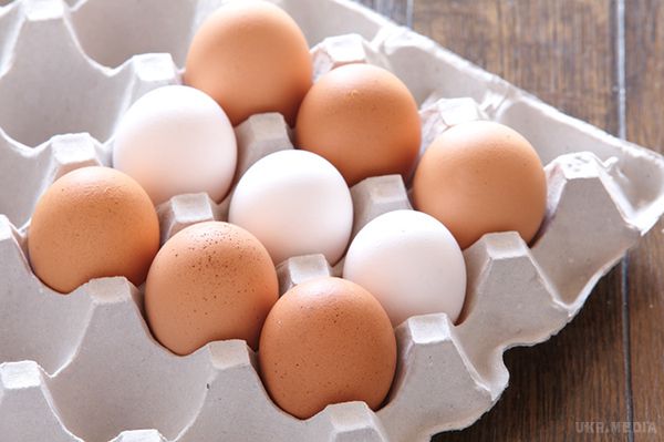 9 фактів про яйця, які корисно знати кожному. Можна без перебільшення сказати, що яйця – універсальна їжа. Їх готують холостяки, включають в складні рецепти домогосподарки і люблять діти. Ми розповімо тобі про цікаві факти про яйця.