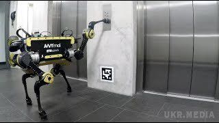 Робот "навчився" користуватися ліфтом (відео). Швейцарські інженери розробляють ANYmal — чотириногого робота, призначеного для автономної роботи на важкодоступній місцевості.