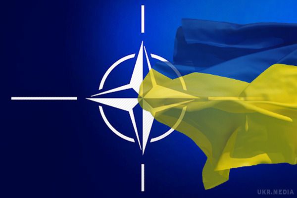 НАТО не задоволений виконанням Україною річного плану. У НАТО прямо сказали представникам України, що не задоволений темпами виконання завдань.