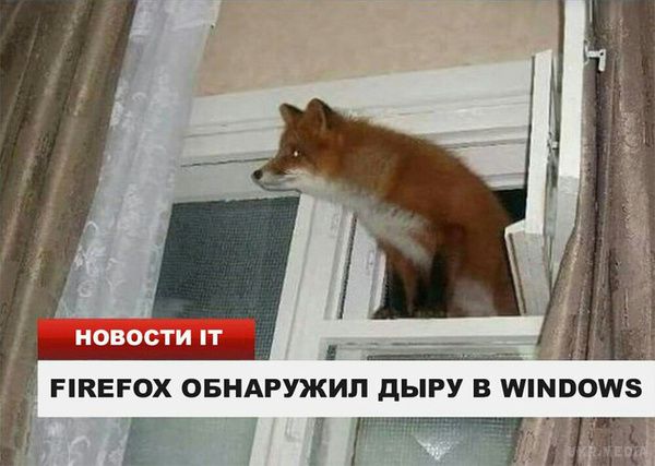 Самі смішні картинки тижня і самса в кіоску біля вокзалу!. Забавні картинки з Інтернету, які тобі не покаже жоден голосовий помічник.