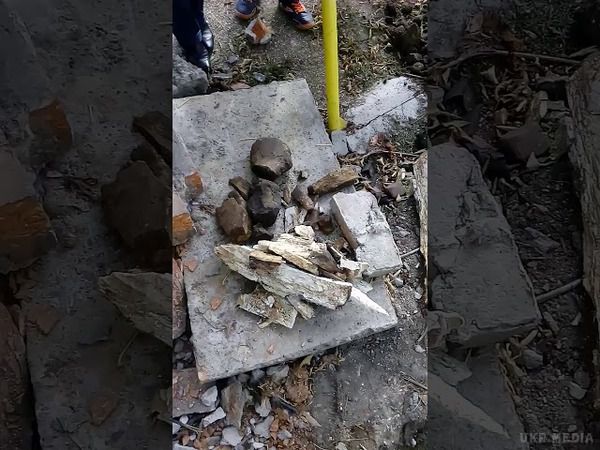 У Запорізькій області археологи знайшли останки мамонта - кадри. На даний момент знахідку реставрують у краєзнавчому музеї. Пізніше жителі зможуть побачити її в одному з демонстраційних залів.