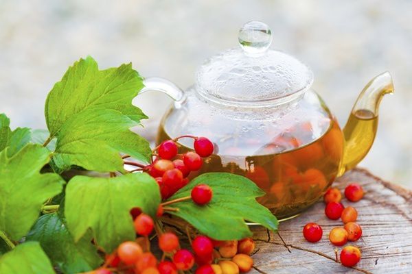  5 рецептів напоїв осені: чай, який зігріває. Коли настають холоди – саме час пити пряний чай. І настрій підніме, і захистить від застуди!