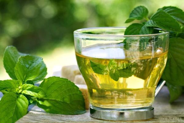  5 рецептів напоїв осені: чай, який зігріває. Коли настають холоди – саме час пити пряний чай. І настрій підніме, і захистить від застуди!