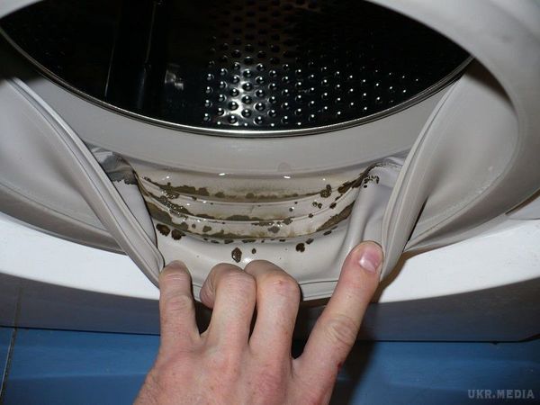 Доступні методи позбавлення від грибка і неприємного запаху в пральній машині. Багато власників пральних машин з часом відчувають неприємний запах, а всередині помічають чорний наліт. 