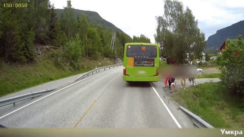 Ось чому ніколи не варто переходити дорогу позаду автобуса (відео). Мало серце не вискочило.