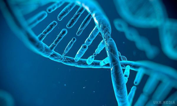 Вчені вперше відредагували геном всередині живої людини.  Лікарям довелося піти на такий ризикований крок тому, що пацієнт страждав від невиліковної генетичної хвороби, врятувати від якої іншими способами його не представлялося можливим.