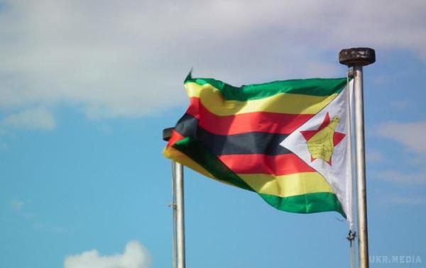 У Зімбабве тисячі людей вийшли на вулиці відзначити падіння режиму Мугабе. Деякі з учасників акції тримали плакати з написом "Немає династії Мугабе".