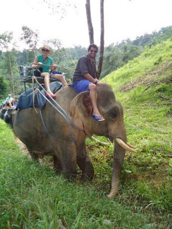 Туристи мріють покататися на слоні...Але ніхто не думає про те, як страждають ці велетні.. Для більшості таких туристів, особливо для тих, що відпочивають сім'ями, поїздка на слоні — обов'язковий пункт програми. Мандрівники із захопленням милується товстошкірими велетнями, а вдома розповідають друзям, як чудово вони прокотилися на слонову спині. Ті в свою ....