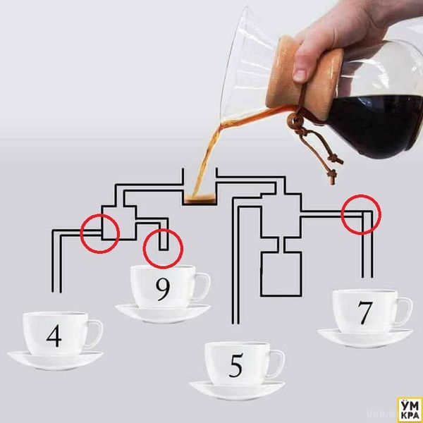 Хитра загадка про каву на логіку і уважність "підірвала" мозок користувачам!. Не загадка, а підстава якась.Отже, в яку чашку кави наллється в першу чергу?