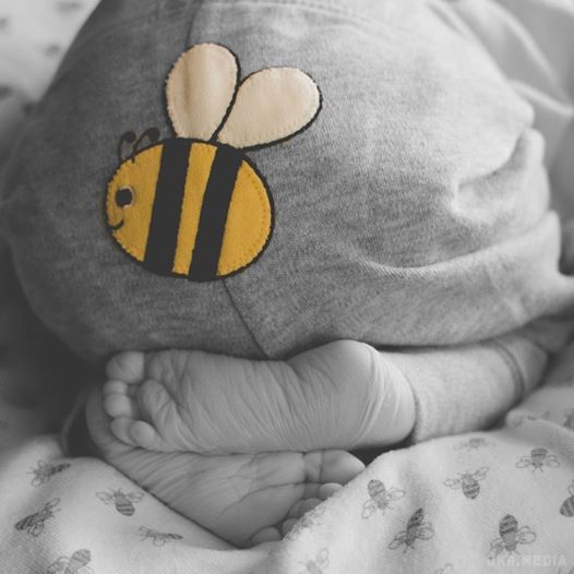 Мама, яка знялася вагітна з бджолами на животі, втратила свою дитину. Пристрасна любителька бджільництва вирішила поєднувати хобі і вагітність,