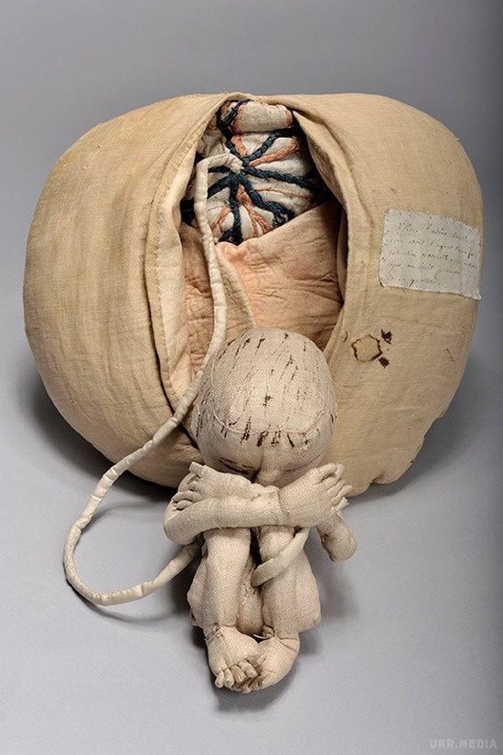 Анатомічні ляльки XVIII століття, з допомогою яких навчалися приймати пологи. Ці ляльки врятували тисячі життів! А виготовлення кожної коштувало як річний оклад мушкетеру.