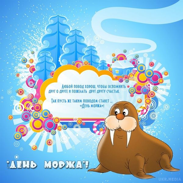24 листопада - День моржа. Моржі – найбільші ластоногі, що мешкають в північній півкулі нашої планети.
