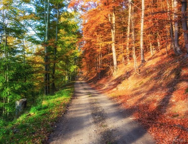 30 знімків, за які ці фотографи, напевно, продали душу дияволові. Світ навколо дуже гарний, але не кожен з нас вміє сприймати його красу,