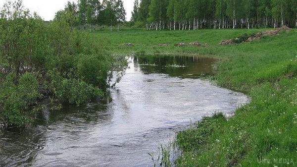 В Україні зникають малі річки: екологи б'ють на сполох. Річки практично не чистять.