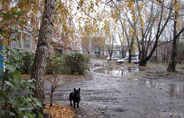 Прогноз погоди в Україні на сьогодні 28 листопада: очікуються дощі з мокрим снігом. В Україні 28 листопада очікуються опади - дощі з мокрим снігом.