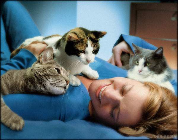 Фахівці підказали, які хвороби лікують кішки. Неофіційно кішок називають домашніми психотерапевтами.
